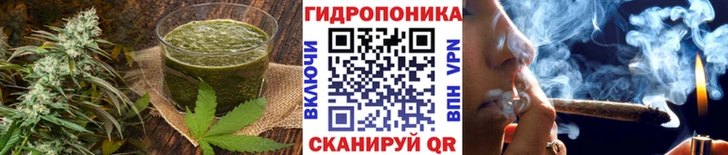 Еда ТГК марихуана  как найти закладки  hydra вход  shop клад  Фролово 