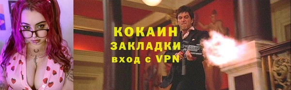 гидра Михайловск