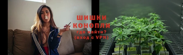 гидра Михайловск