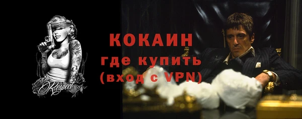 гидра Михайловск