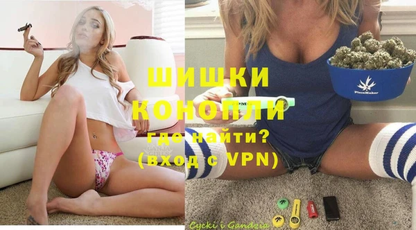 гидра Михайловск