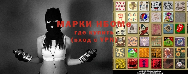 гидра Михайловск