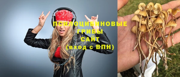 гидра Михайловск