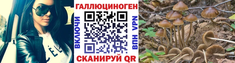 это телеграм  Фролово  Псилоцибиновые грибы прущие грибы 