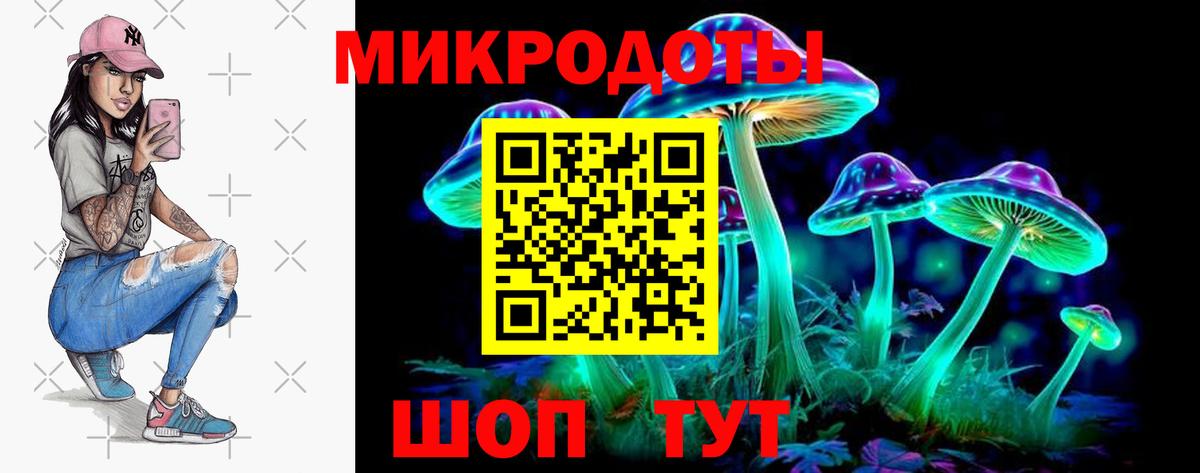 Фролово  Псилоцибиновые грибы GOLDEN TEACHER  Вход с VPN  Псилоцибиновые грибы прущие грибы 
